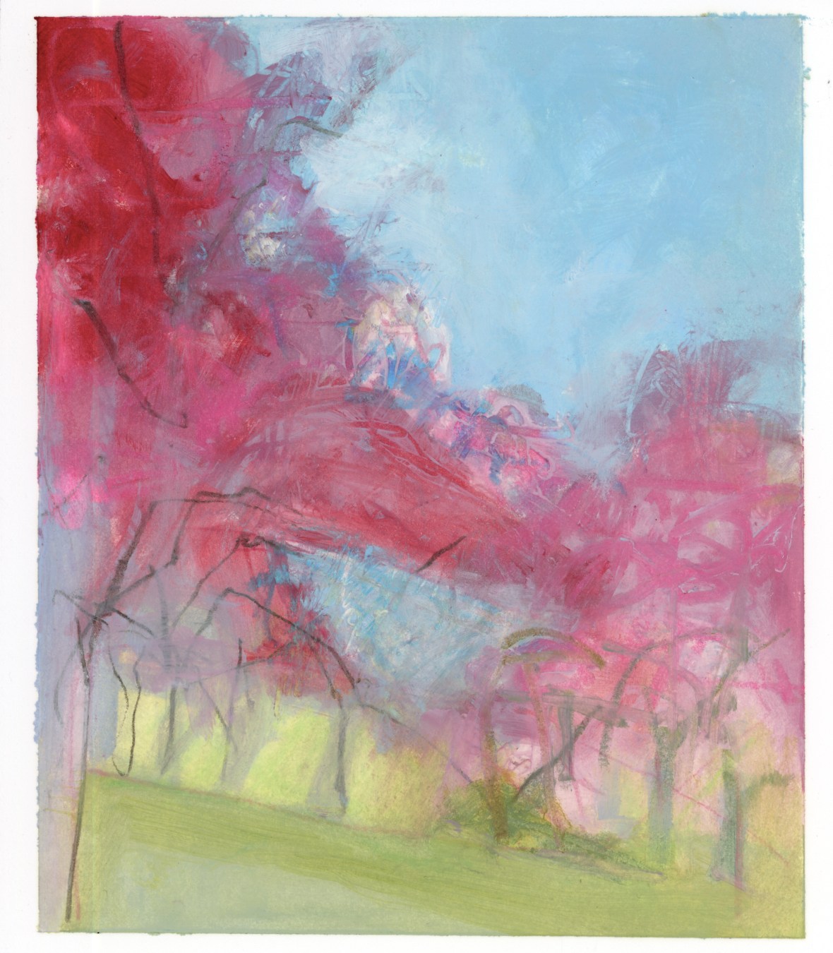 Walnut Hill Park Cherry Trees (5/7/19 #2)